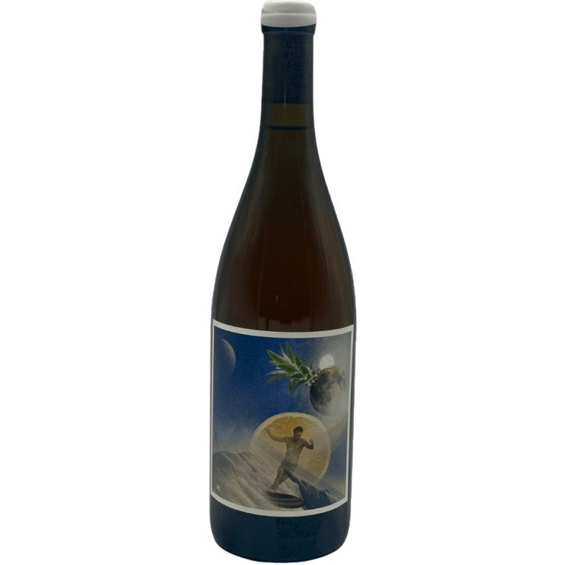 Berguerolles Skin Contact 2023 - White Wine 75cl