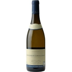 Domaine Pillot Bourgogne Blanc Chardonnay 2022 - White Wine 75cl