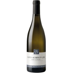 Domaine Bertrand Bachelet Sur Gamay Blanc 2021 - White Wine 75cl