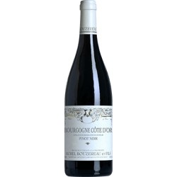 Bouzereau Michel Et Fils Bourgogne Pinot Noir 2020 - Red Wine 75cl