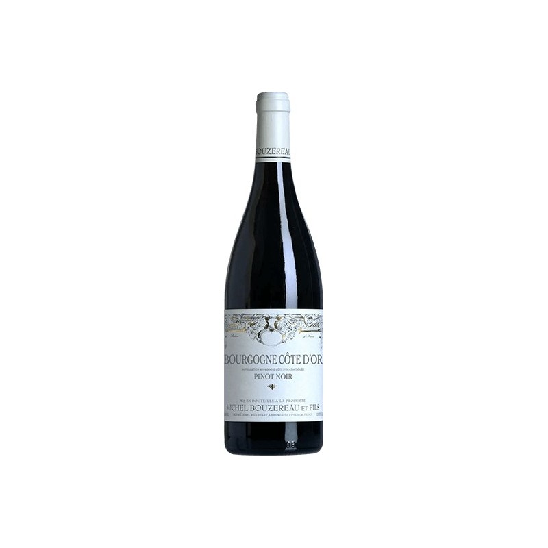 Bouzereau Michel Et Fils Bourgogne Pinot Noir 2020 - Red Wine 75cl