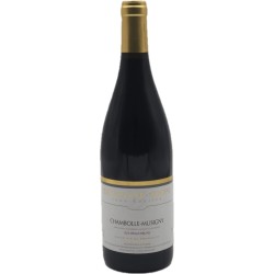 Jean-Charles Rion Chambolle-Musigny Aux Beaux Bruns 2022 - Red Wine 75cl