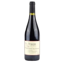 Domaine Le Soula - Trigone - Organic Red Wine 75cl