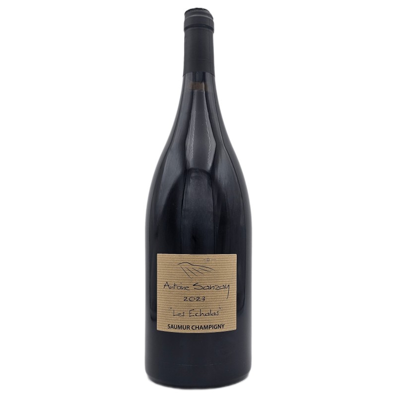 Domaine Antoine Sanzay Saumur-Champigny Les Echalas - Vin Bio - Wine 75cl