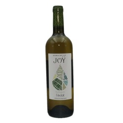 Domaine de Joy l'Eclat 2021 Côtes de Gascogne