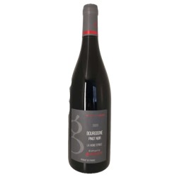 Domaine Gueguen Bourgogne la Vigne d'Émile 2021