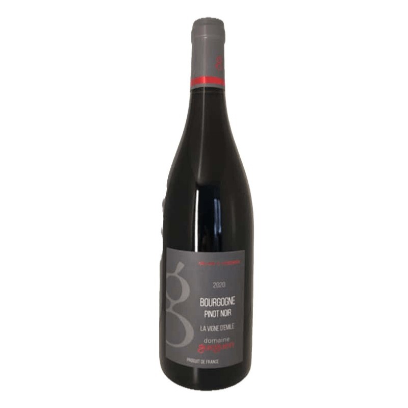 Domaine Gueguen Bourgogne la Vigne d'Émile 2021