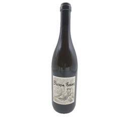 Didier Dagueneau Buisson Renard 2019 | Sauvignon Blanc