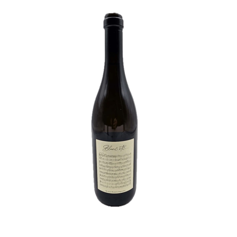 Blanc Fumé de Pouilly 2020 | Didier Dagueneau