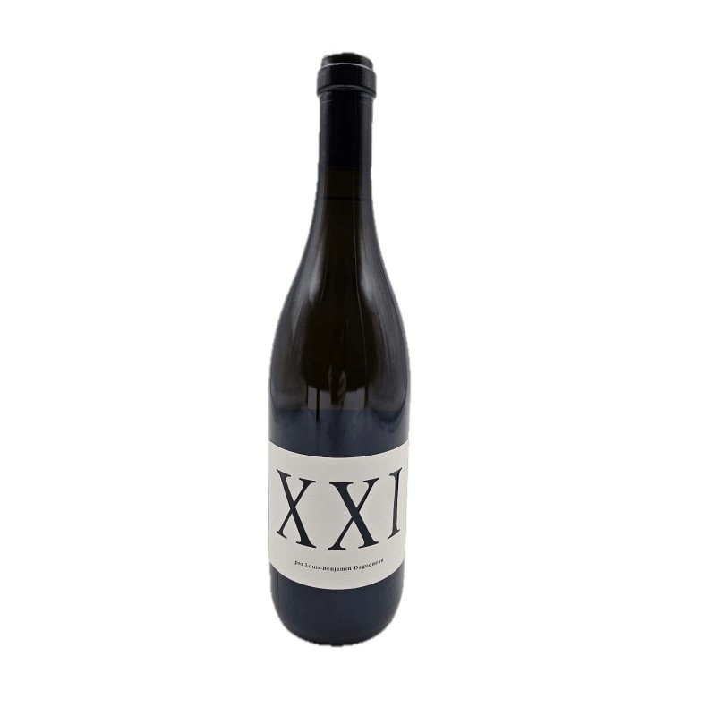 Didier Dagueneau Xxi 2021 | Loire Sauvignon Blanc