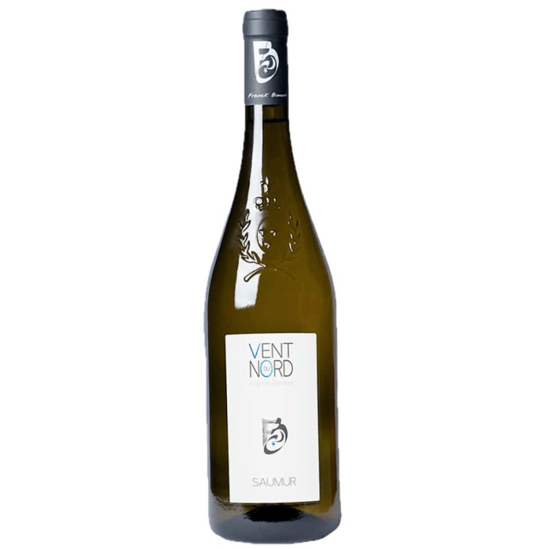Saumur Blanc 2021 | Domaine des Guyons Vent du Nord
