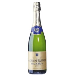 Adrien Romet Traditional Method Blanc de Blancs Brut |French Champa...
