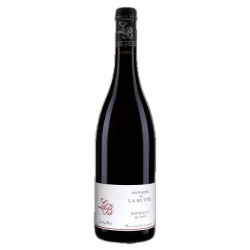 Domaine de la Butte Mi-Pente 2022 | Bourgueil Rouge