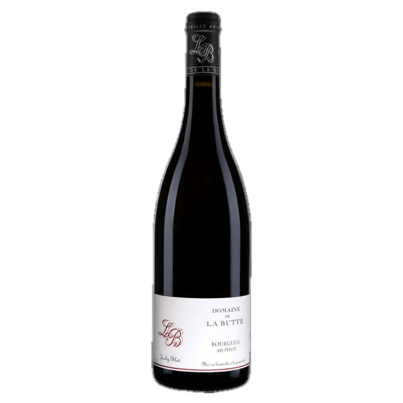Domaine de la Butte Mi-Pente 2022 | Bourgueil Rouge