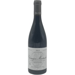 Chassagne-Montrachet Rouge 2024 | Marc Colin