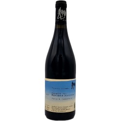Thierry Germain Domaine 2025 Saumur Champigny