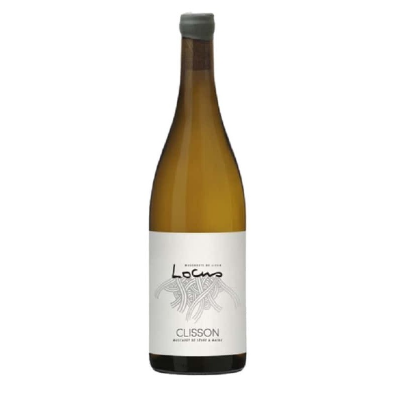 Domaine Saget Muscadet Locus Clisson | Loire