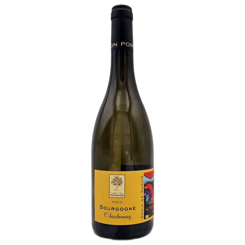Domaine Pommier Bourgogne Chardonnay 2019