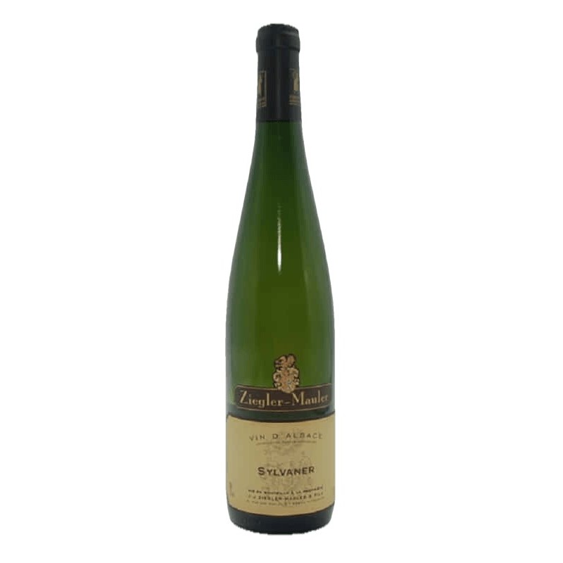 Sylvaner 2022 Demi Bouteille | Domaine Ziegler-Mauler
