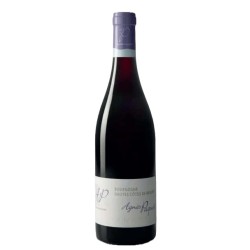 Domaine Agnes Paquet Hautes Côtes de Beaune 2021