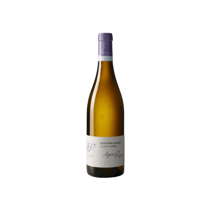 Agnes Paquet le Clou et la Plume 2022 | Burgundy Aligoté