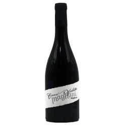 Domaine Canet Valette Saint-Chinian Rouge 2019 Organic