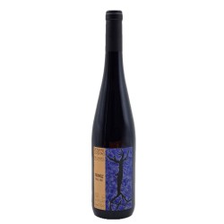 Domaine Ostertag Pinot Noir Fronholz 2019 | Alsace