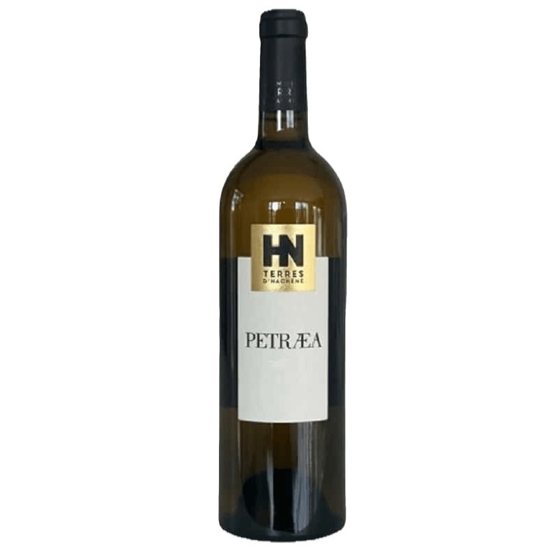 Domaine Terres d'Hachene Petraea 2022 | Organic White Wine