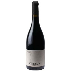Domaine Sol Payre Scelerata 2023 | Côtes du Roussillon