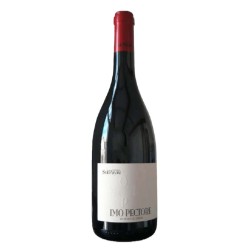 Domaine Solpayré Imo Pectore 2024 Côtes du Roussillon