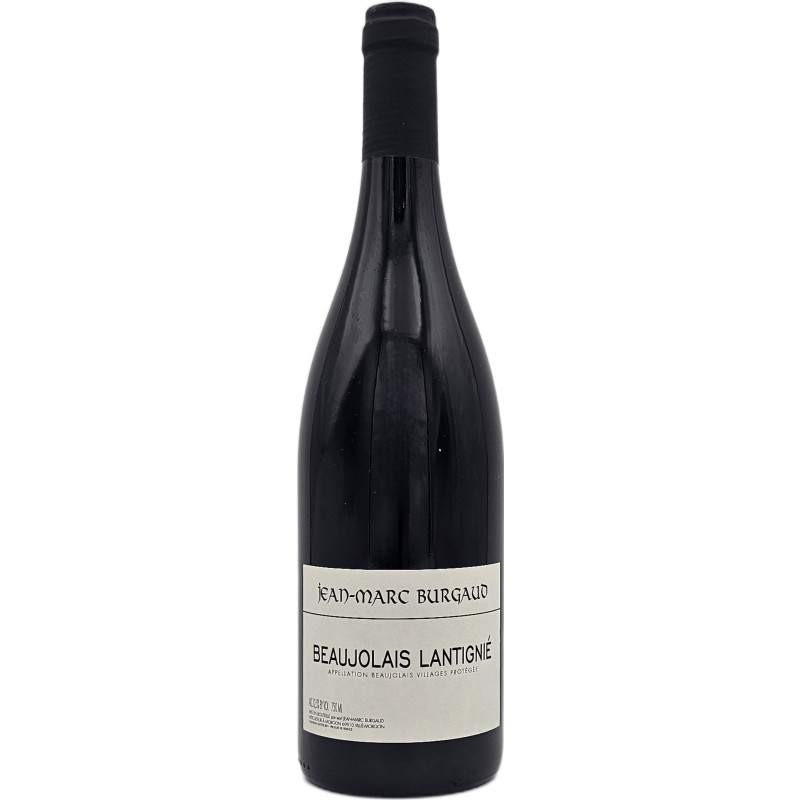 Domaine Jean-Marc Burgaud Beaujolais Village 2024