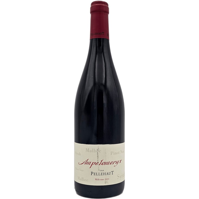 Domaine de Pellehaut Ampelomeryx 2023 | Côtes de Gascogne