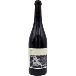 Chateau de Villeneuve Saumur-Champigny 2022 Organic