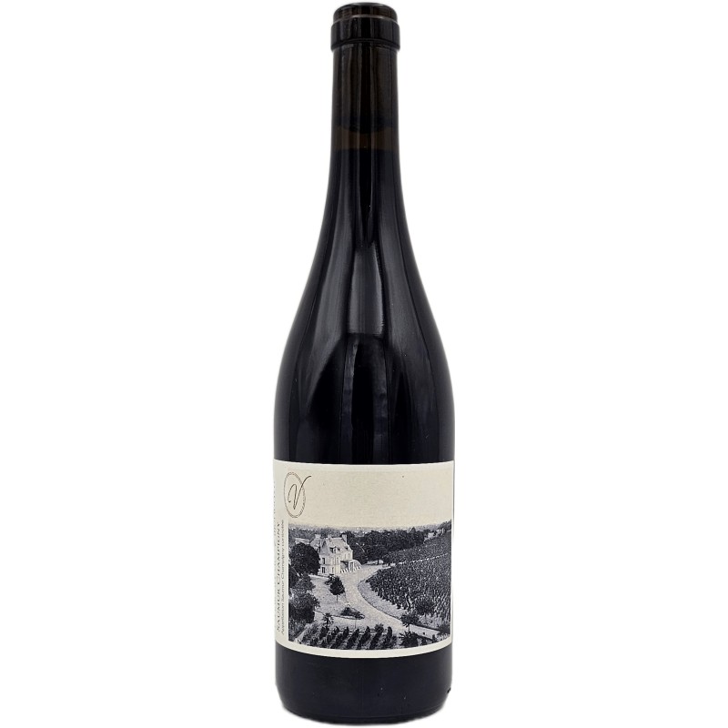 Chateau de Villeneuve Saumur-Champigny 2022 Organic