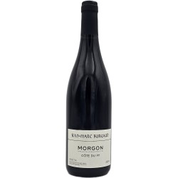 Morgon Cote du Py 2024 | Domaine Jean-Marc Burgaud